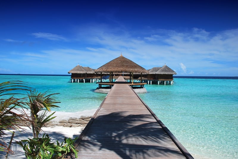 Exotic Vacation